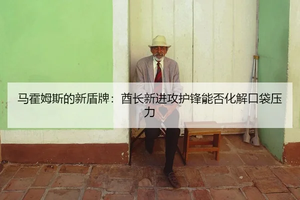 ma-huo-mu-si-de-xin-dun-pai-qiu-zhang-xin-jin-gong-hu-feng-neng-fou-hua-jie-kou-dai-ya-li-2-377.jpg