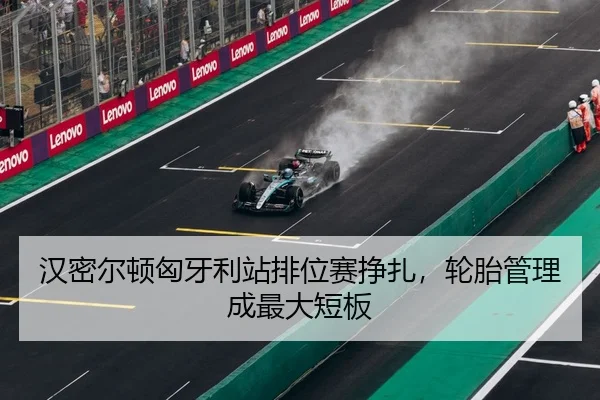 han-mi-er-dun-xiong-ya-li-zhan-pai-wei-sai-zheng-zha-lun-tai-guan-li-cheng-zui-da-duan-ban-3-176.jpg